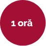 mobile-3